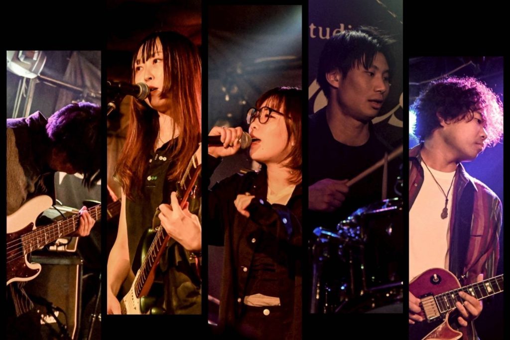 コステラティオの画像